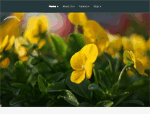 Tablet Screenshot of drdurham.net